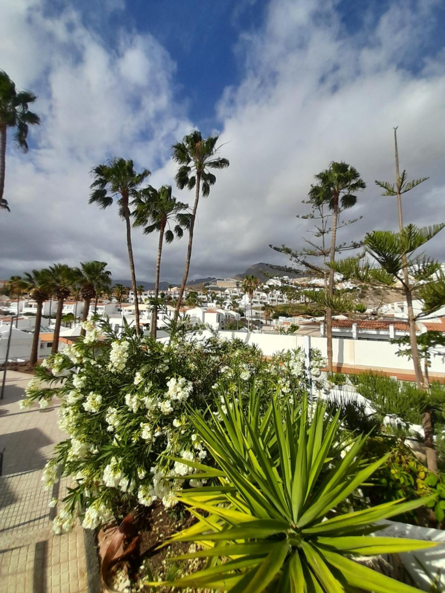 Apartments Island Village Heights Адехе Экстерьер фото